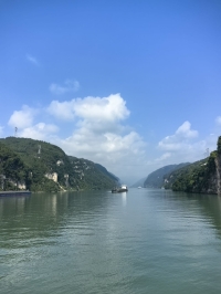 医圣安001